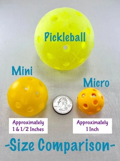 Mini Pickleball Bag Tags (Heavy Duty) | Fun Pickleball Gifts