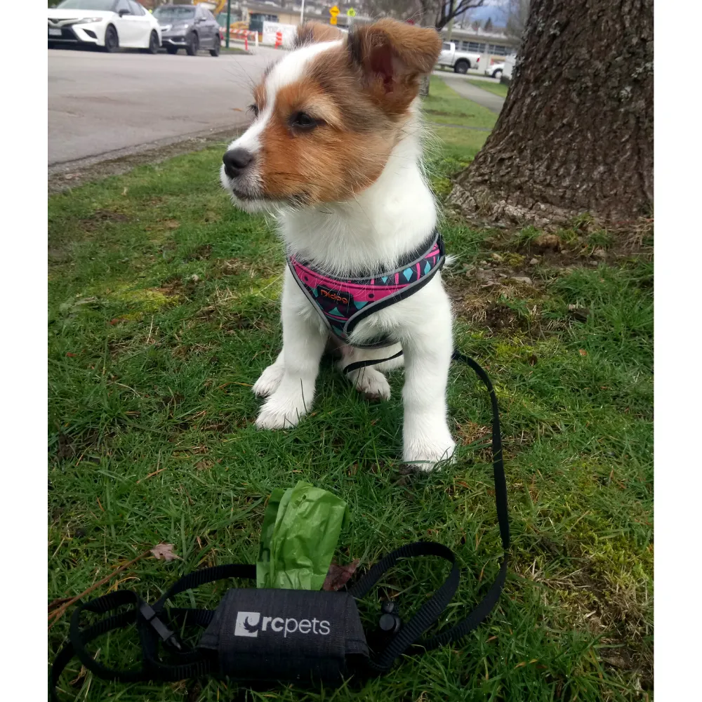 Pup Bag - Poop Bag Dispenser