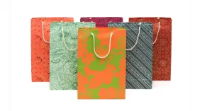 Recycled Paper Tall Gift Bag pack of 6 (15x10x4.5) - Assorted Eco-Friendly