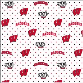 University of Wisconsin Badgers Zipper Bag